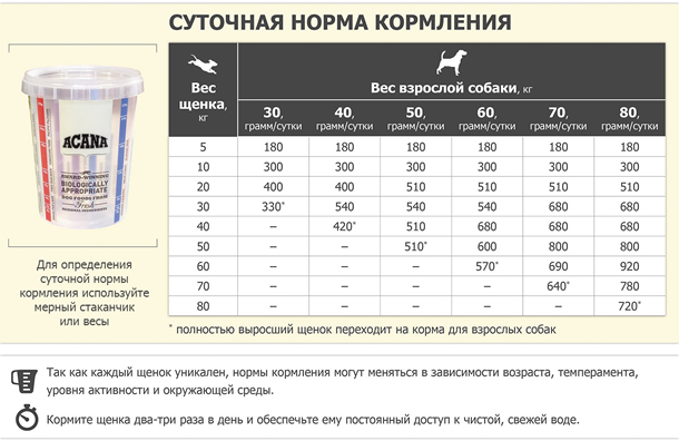 Советы, как кормить щенка в 3 месяца сухим кормом