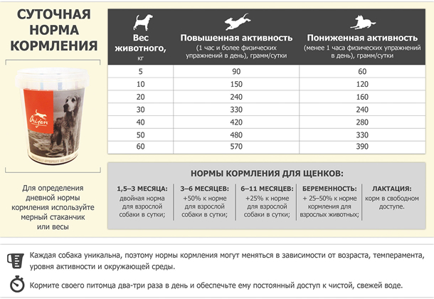 Советы, как кормить щенка в 3 месяца сухим кормом