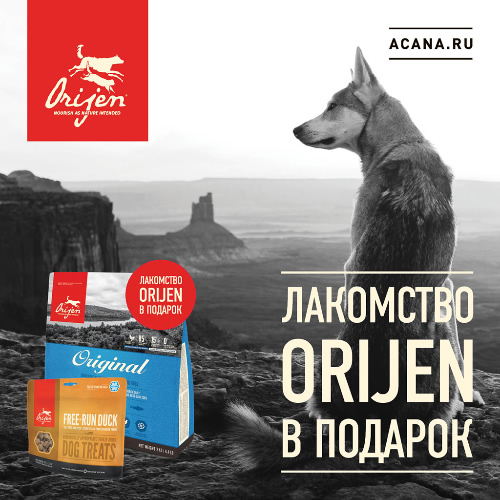 Акция на корм для собак Orijen