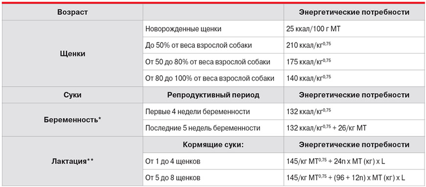 Калорийность рациона