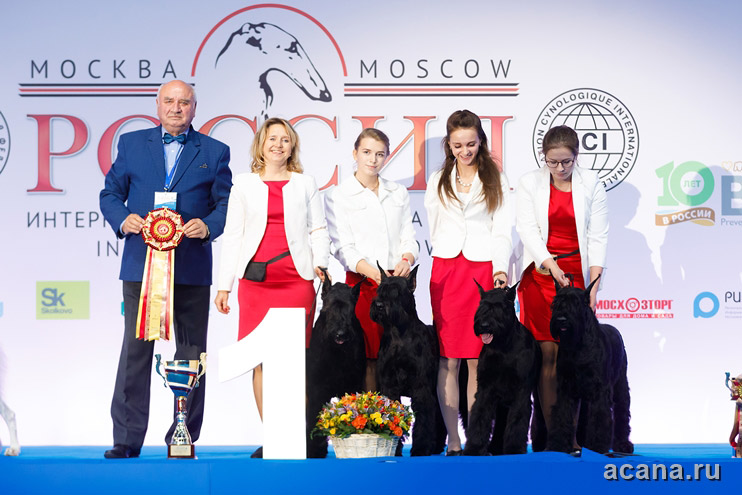 Выставка собак РКФ «Россия 2018»