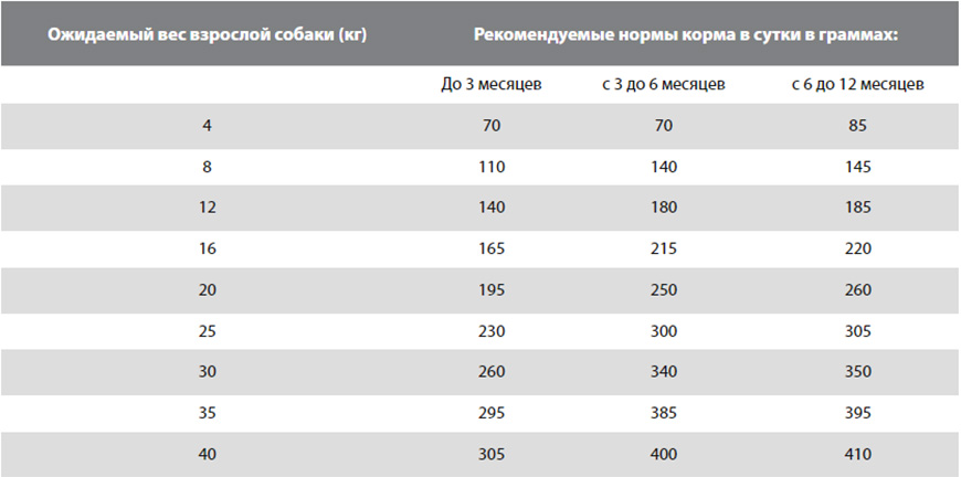 Сколько сухого корма нужно давать щенку в день?