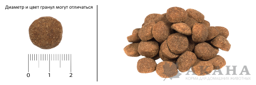 Acana Heritage Puppy