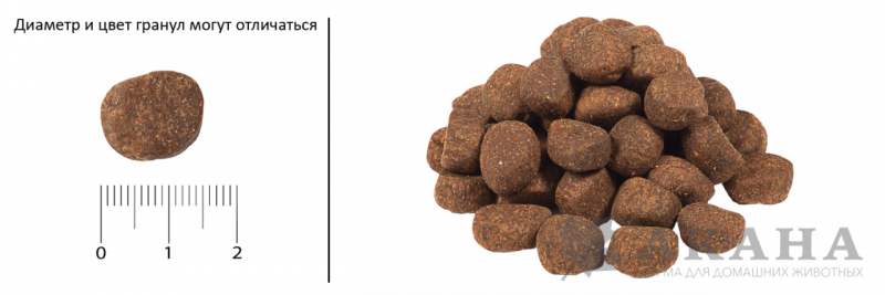 Гранулы в корме для собак Orijen Puppy Large Гранулы в корме для собак Orijen Puppy Large