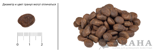 Гранулы в корме для собак Orijen Six Fish Dog Гранулы в корме для собак Orijen Six Fish Dog
