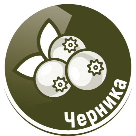 Черника